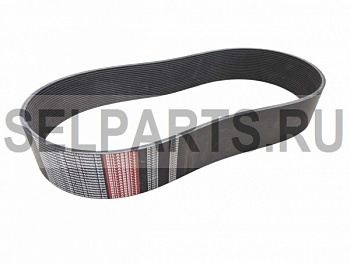 R 4303146402 Поликлиновый ремень POLY-V PL 1613-20 (RILABELT)