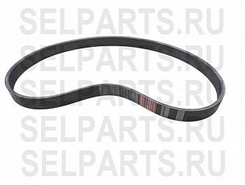 R 4303016103 Поликлиновый ремень POLY-V PL 1562-8 (RILABELT)