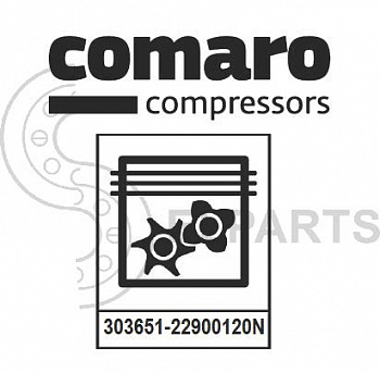 ремкомплект термостата для MD 160-250 код 303651-22900120N
